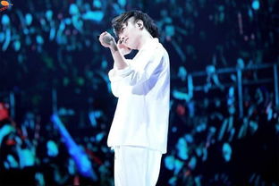 华晨宇休息风波与经纪人录音事件 粉丝情绪波动背后的行业反思